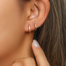 Load image into Gallery viewer, Shiny Earrings