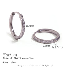 Load image into Gallery viewer, Shiny Earrings