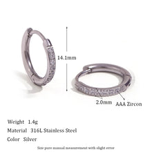 Load image into Gallery viewer, Shiny Earrings