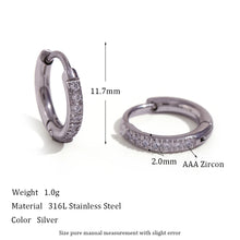 Load image into Gallery viewer, Shiny Earrings