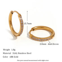 Load image into Gallery viewer, Shiny Earrings