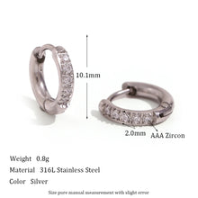Load image into Gallery viewer, Shiny Earrings