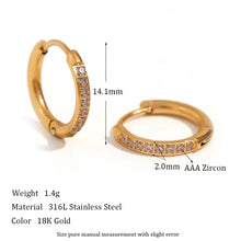 Load image into Gallery viewer, Shiny Earrings