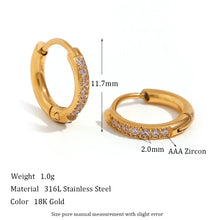 Load image into Gallery viewer, Shiny Earrings