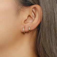 Load image into Gallery viewer, Shiny Earrings