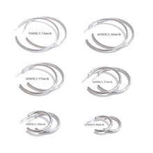Load image into Gallery viewer, Hoopest Earrings
