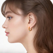 Load image into Gallery viewer, Hoop Earrings
