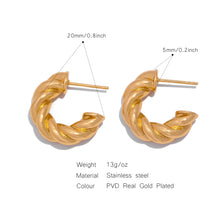 Load image into Gallery viewer, Twists Earrings
