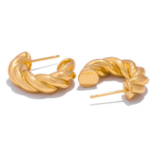 Load image into Gallery viewer, Twists Earrings
