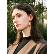 Load image into Gallery viewer, Hoopest Earrings
