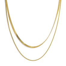 Load image into Gallery viewer, Double Necklace
