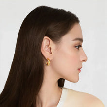 Load image into Gallery viewer, Twists Earrings
