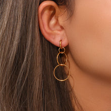Load image into Gallery viewer, Hoop Earrings
