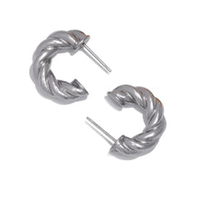Load image into Gallery viewer, Twists Earrings
