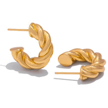 Load image into Gallery viewer, Twists Earrings
