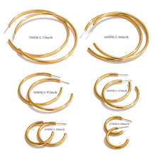 Load image into Gallery viewer, Hoopest Earrings

