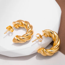 Load image into Gallery viewer, Twists Earrings

